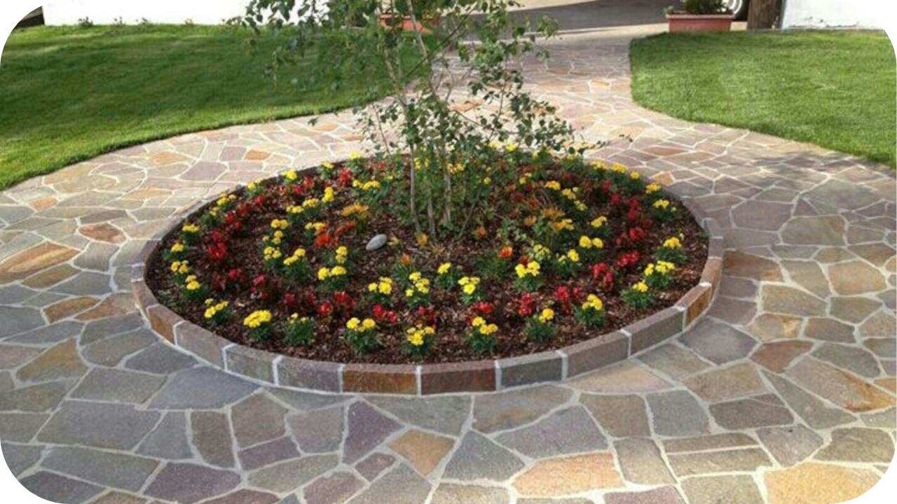 Design Options with Porphyry
