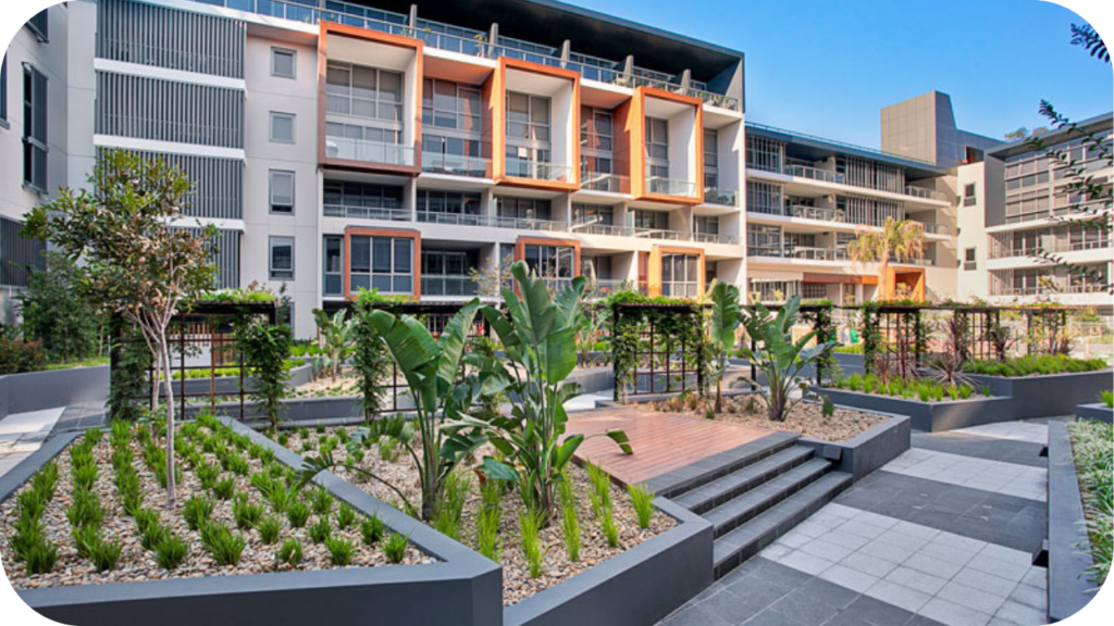Contemporary streetscape garden in Australia with bold tropical plants, stone edging and crisp hardscaping in a plaza.