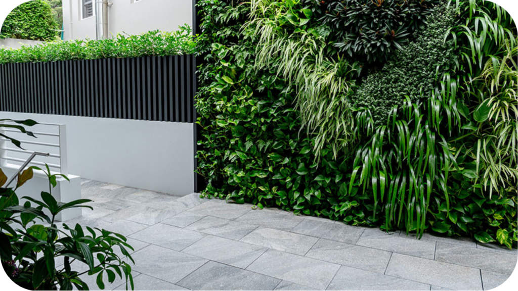Urban courtyard with lush vertical garden, soft grey stone paving and layered planting design in a modern Australian complex.