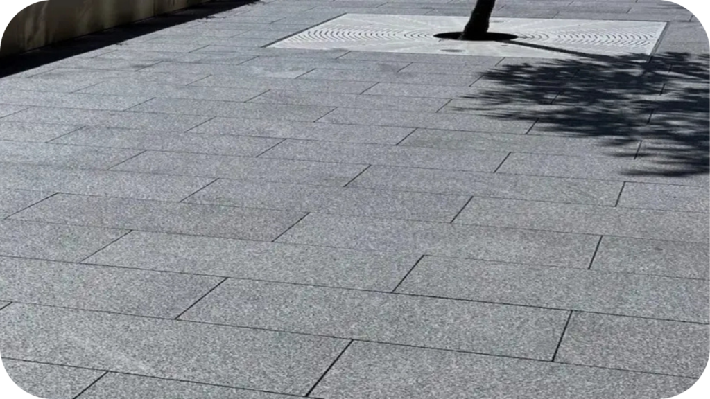 Grey granite paving laid in uniform rows around a tree, highlighting durable stone ideal for outdoor Australian pathways and commercial spaces.
